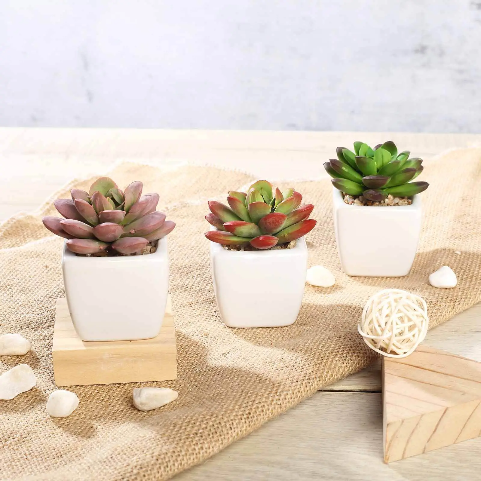 3-Pack Echeveria Elegans Artificial Succulents in Ceramic Pot 3" - Realistic Maintenance-Free Faux Plants for Bathroom Coffee Table Shelves & Desk