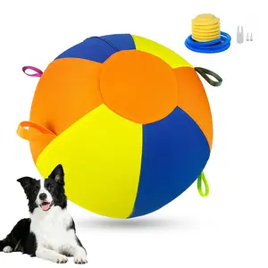 Giant Inflatable Dog Ball Toy Set Durable Chew Ball for Golden Retriever Shiba Inu Corgi Boredom Buster Self Entertaining Pet Toy