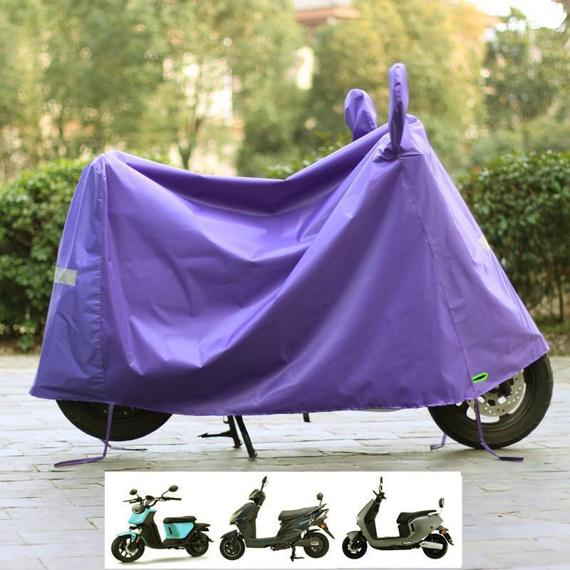 Medium size, purple, with ears, with a mirror, sma