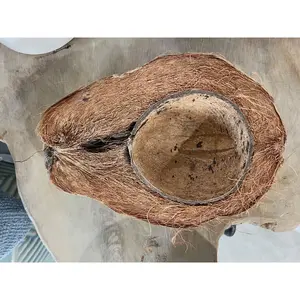 Coconut Bowl