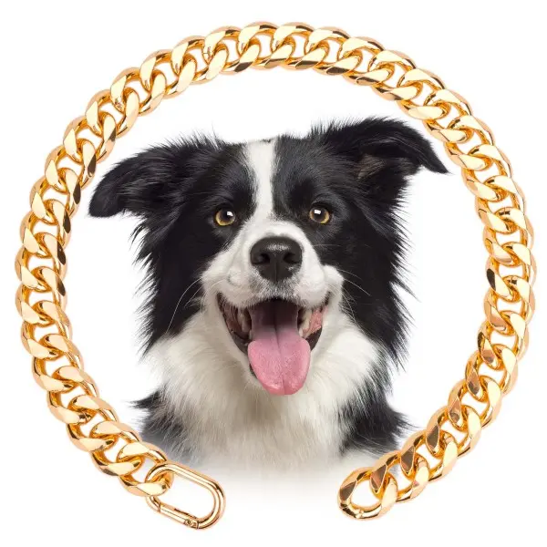 Dog Cuban Link Chain Collar - 10–14in Gold Aluminum, Lightweight Durable Chain for Daily Use, Secure Lobster Clasp, Comfortable Wear, Sparkle on Walks, Stylish Pet Neck Accessory for Small Dogs, Outdoor Use