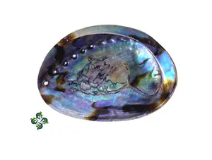 Abalone Shells, 4 - 5 inches, New Zealand, Incense Burner
