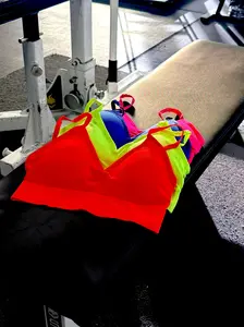 The Flow Neon Line Sports Bra