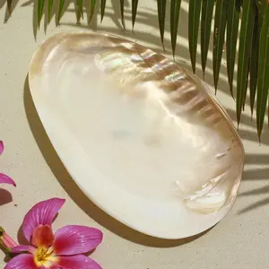 Bowl - Cebu Clam Shell