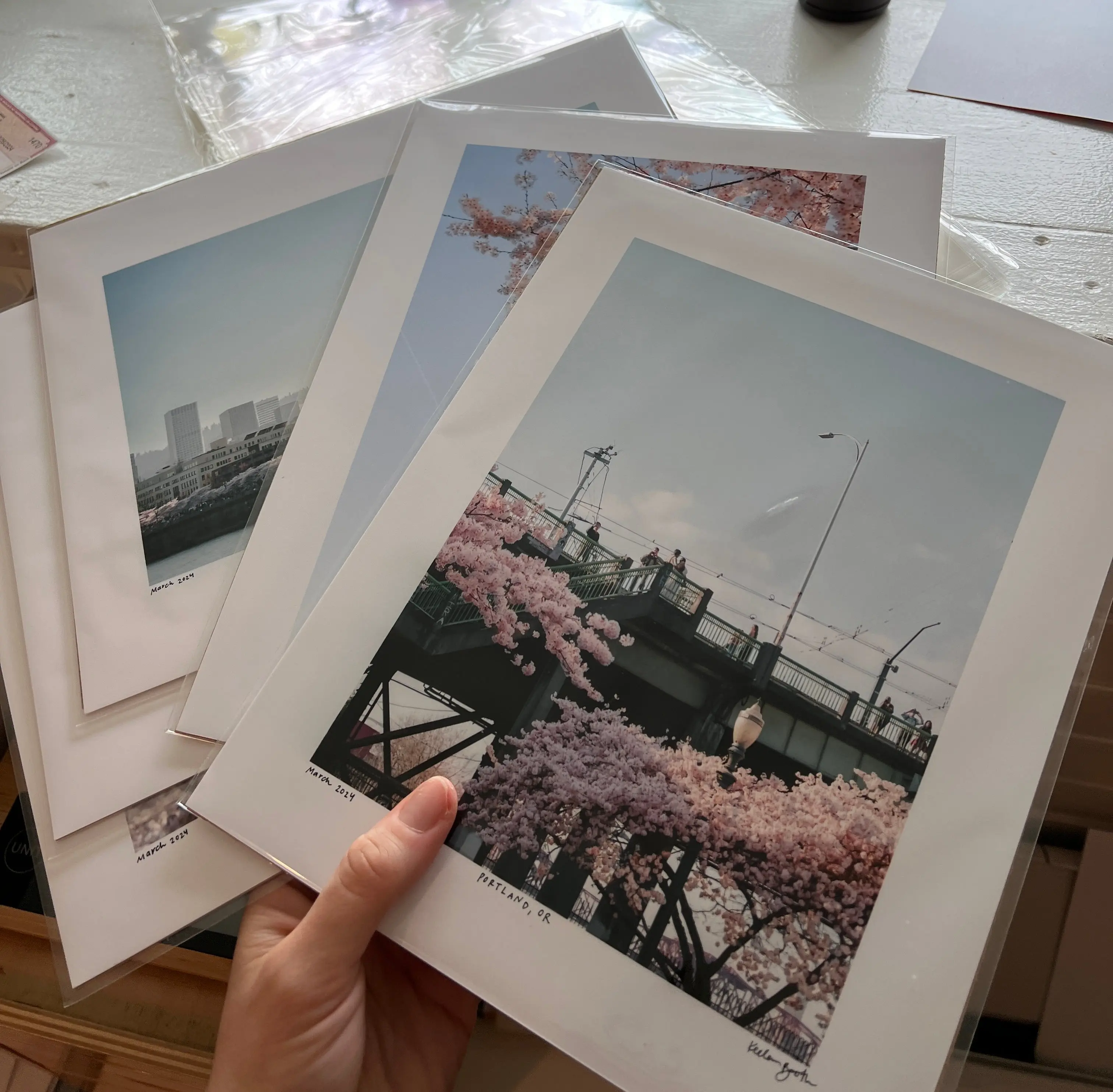 8x10 Cherry Blossom Photo Print
