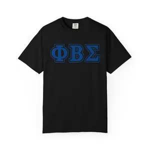 Sigma T-Shirt, Fraternity Tee, Greek Life Shirt, Sorority Apparel, College Clothing