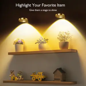 3 Pcs Rechargeable Picture Lights for Wall, Wireless Led Gold Poster Light for Paintings Display with Remote, Art Lighting for Portrait/Photo/Sculpture
