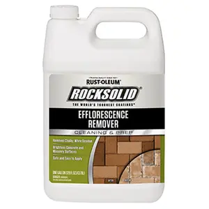 Rust-Oleum 234924 1 gal Efflorescence Remover