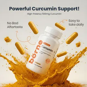BORNE Liposomal Curcumin 500mg Capsules | High Absorption Turmeric Supplement for Joint Support, Immune Health & Antioxidant Protection | Non-GMO Gluten Free | 60 Capsules