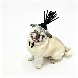 Funny Dog Wig 7" – Elastic pet cosplay wig for small medium large dogs & cats. Perfect for Christmas, Halloween, parties & daily fun! Soft, stretchy, easy to wear. #DogWig #PetCostume #FunnyPet