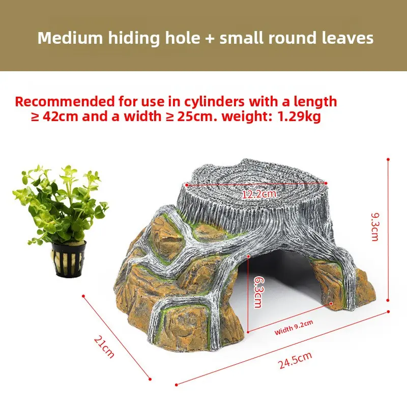 [Sun Platform] Medium size + small round leaf aqua