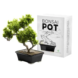 Leaves & Soul Glazed Ceramic Bonsai Pot - Black Rectangular Planter for Succulents & Small Plants - 5 1/2 x 4 1/8 x 2 1/8 Inches - Indoor & Outdoor Garden Decor