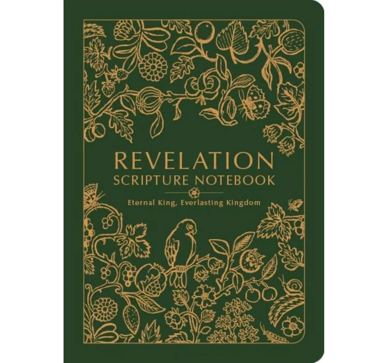 CSB Scripture Notebook, Revelation, Trade Paper, Jen Wilkin Special Edition