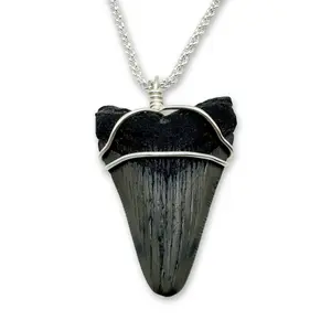 Sterling Silver Filled Rope Chain Megalodon Necklace with Genuine Shark Tooth Pendant, Elegant Design for Fossil Fans and Ocean Admirers Rhinestone