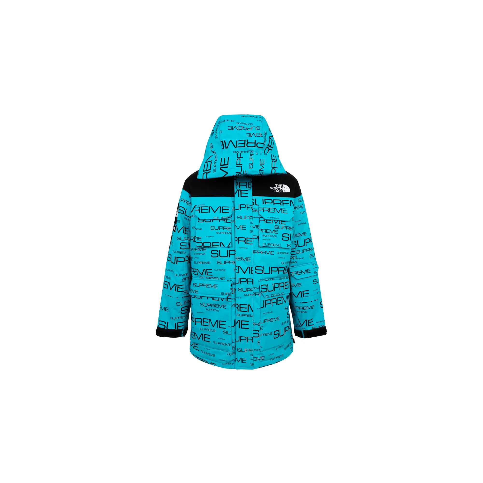 TNF Coldworks 700-Fill Down Pa "FW21" SU11061