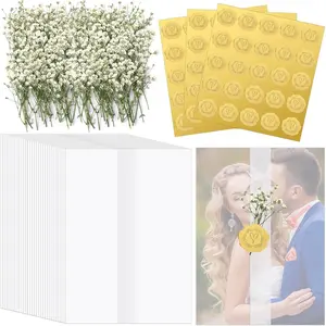 100 Sets Wedding Invitations Wraps Set Pre Folded Vellum Jackets for 5x7 Invitations Natural Dried Pressed Flowers Gold Self Adhesive Envelope Seal Stickers for Wedding Craft DIY party supplies,Automotive & Motorcycle