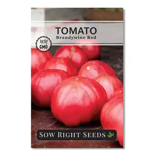 Brandywine Red Tomato Seeds