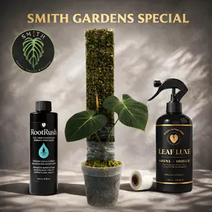 Smith Gardens Special | Plant Care Bundle