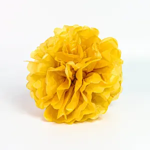 Tissue Pom-Pom 12 Inch Yellow Gold 4 pack