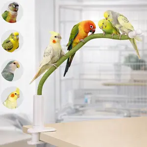 Flexible Bendable Bird Perch Stand - Parrot Toy & Desktop Training Playstand for Budgies, Cockatiels, Lovebirds, Conures, Parakeets - Colorful Playground Accessories (Medium) - stand perch Harnesses Home Diy
