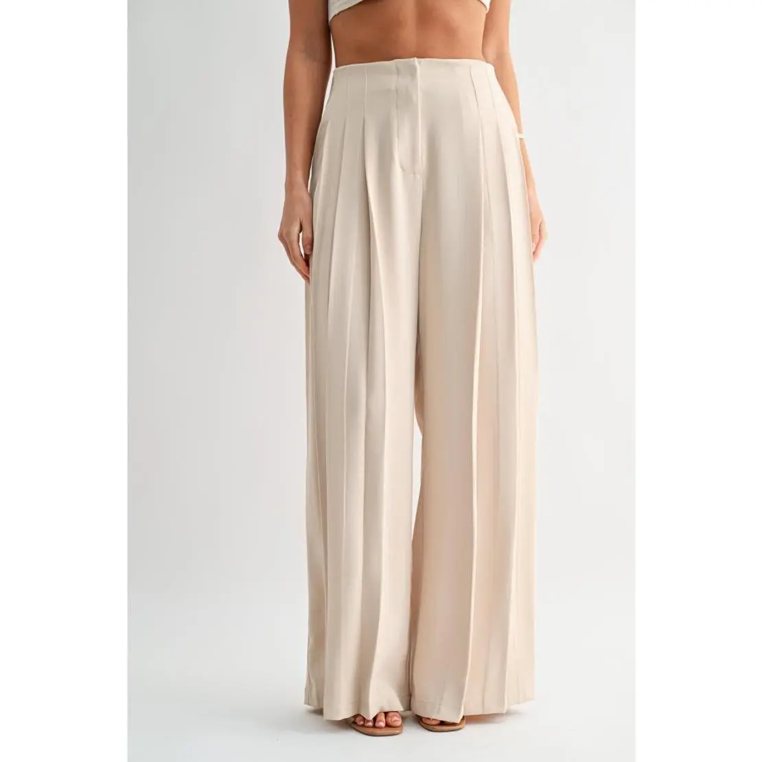 Arden Pleated Wide Leg Chiffon Trousers - Beige