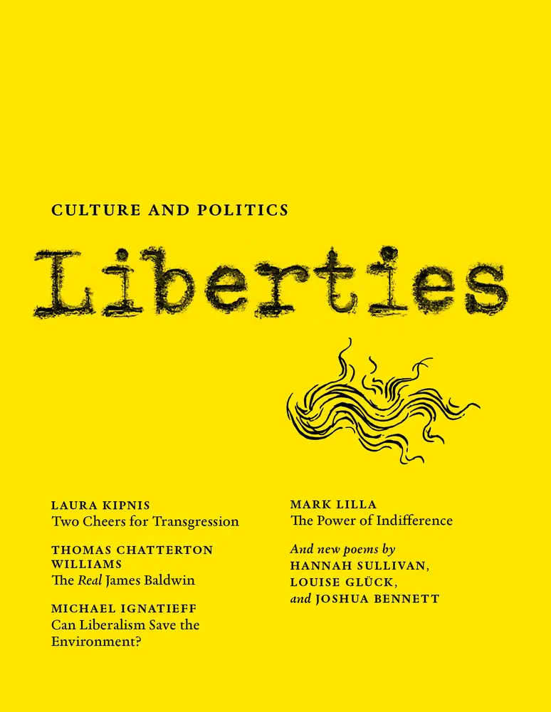 USED-Liberties Journal of Culture and Politics: Fall 2020 by Kipnis, Laura (Paperback)