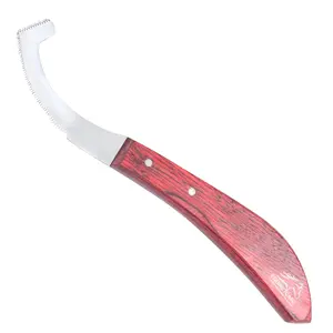 Equine Care Bot Egg Knife For Horses – Stainless Steel Bot Egg Removal Tool With Ergonomic Handle