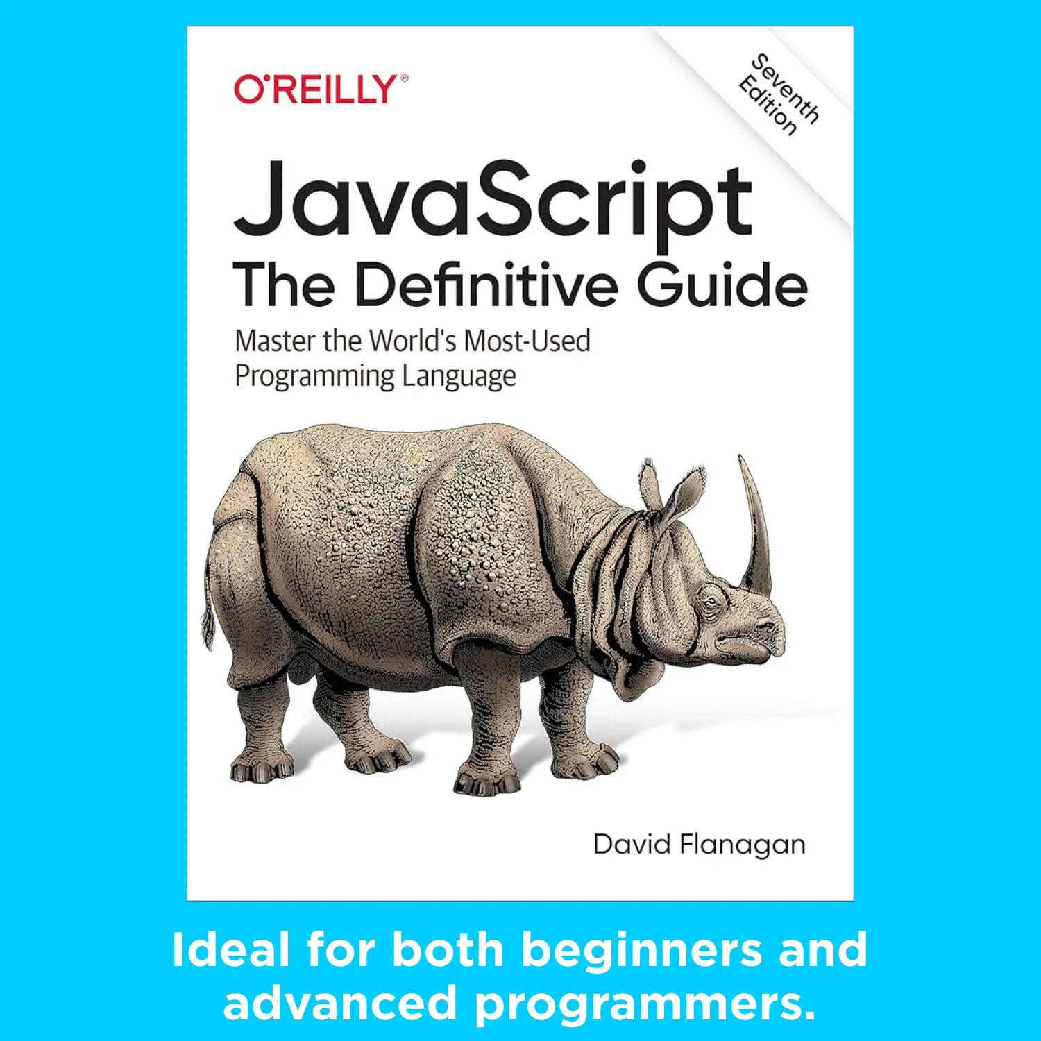 From beginner to pro! "JavaScript: The Definitive Guide (7th Edition)" covers everything you need to build websites and apps like a coding expert.
