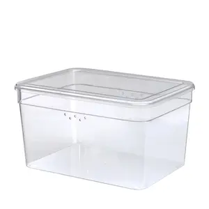 Extra Tall Clear Glossy Plastic Shoe Box with Lid - Adult Size, One Pair Capacity, One Tier for Neat Shoe Organization