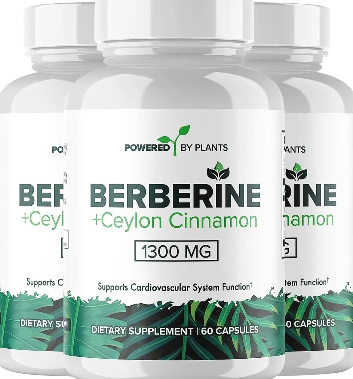 Pure Berberine Supplement - 1300mg Berberine with Ceylon Cinnamon for Metabolism & Immune System Support - 1 Pack of 180 Servings