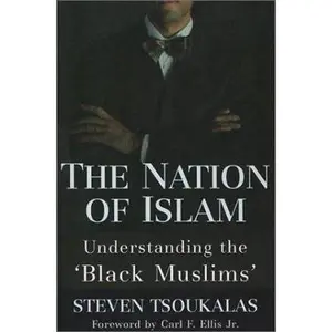 USED-The Nation of Islam: Understanding the Black Muslims by Steven Tsoukalas (Paperback)
