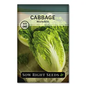Michihili Napa Cabbage