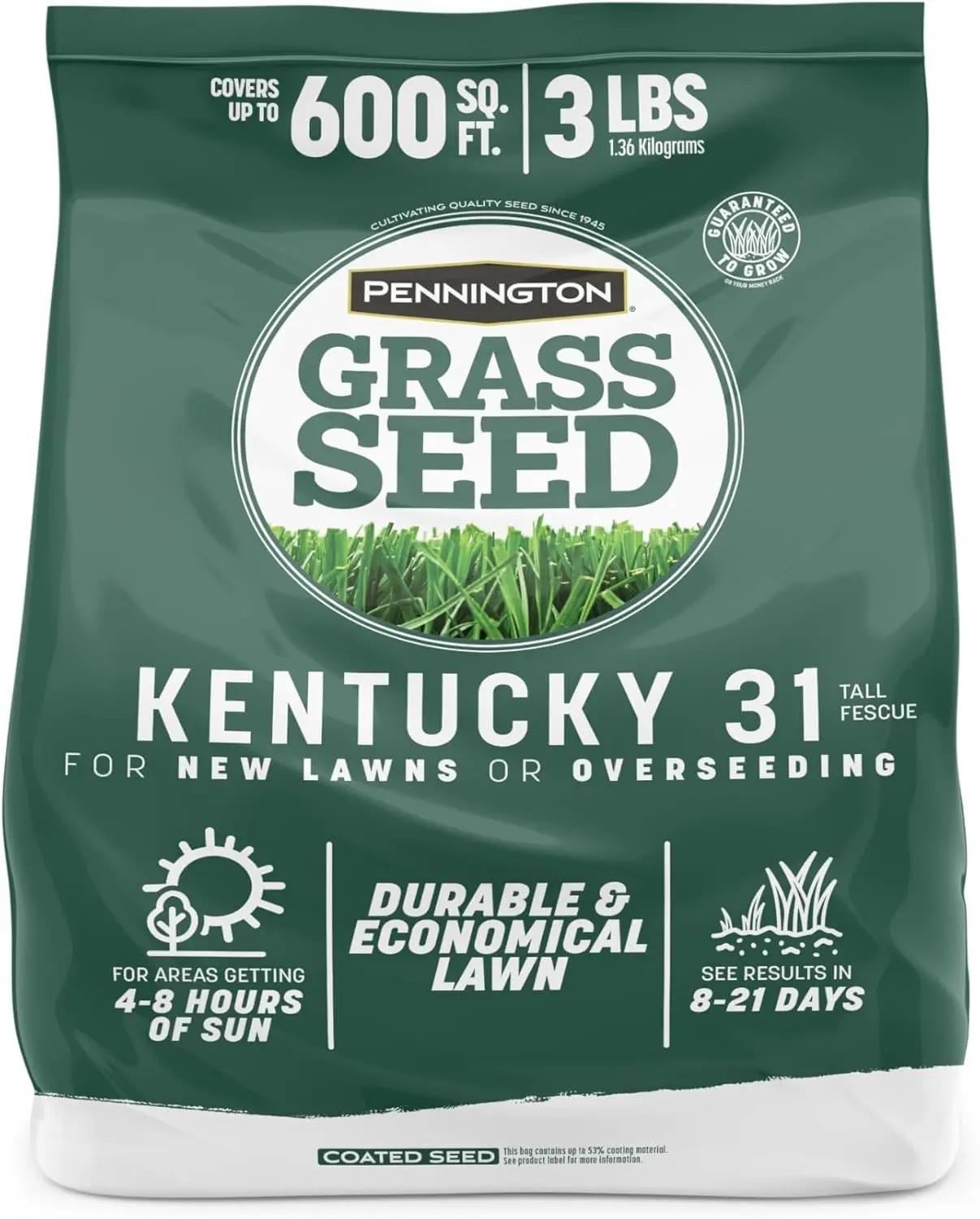 Kentucky 31 Tall Fescue Grass Seed - 3 LB Bag Premium Tall Fescue Lawn Seed for Durable, Heat and Drought Tolerant Turf and Lawn Repair