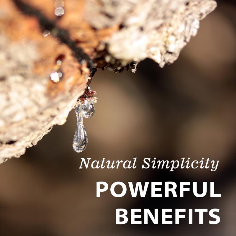 Vitamatic Mastic Gum 1000mg per Serving - Support Digestive Function, Gastrointestinal Health, Immune and Oral Wellness, 120 Capsules Edible Fitness