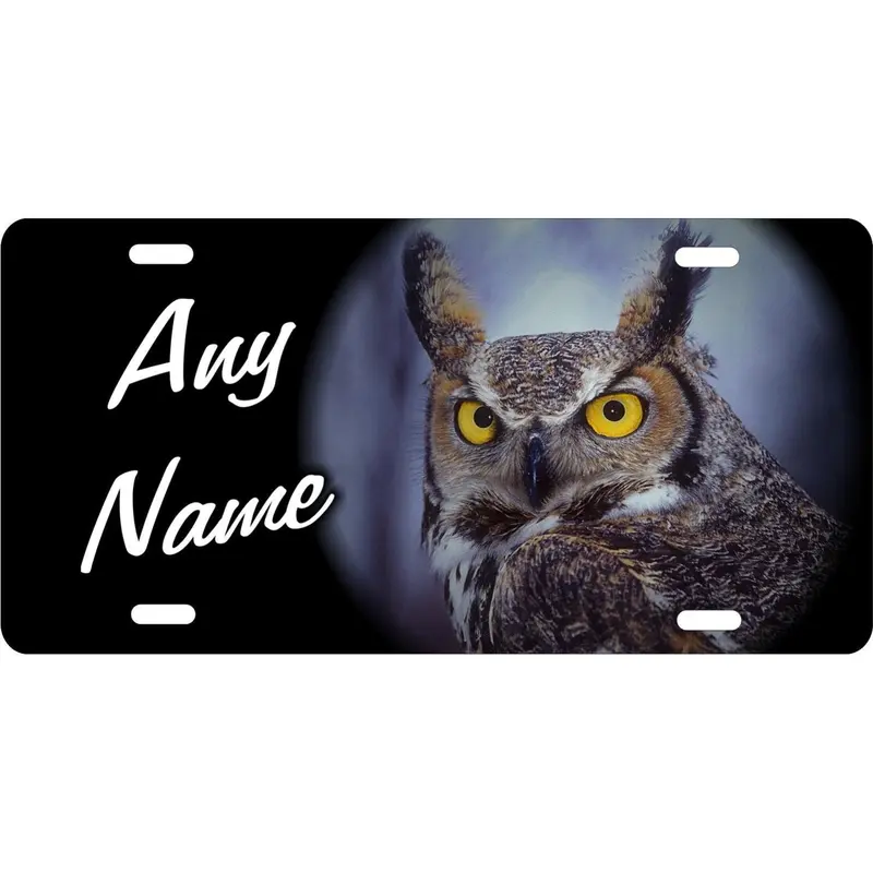 Owl personalized novelty Front license plate Decorative custom aluminum sign car tag