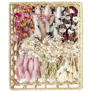 DIY Natural Dried Flower Set, Bulk Dried Flowers, Dried Flowers with Stems, Handmade Dried Flowers Ideas, DIY Flower Set, Door Hanging Wreath, Table Centerpiece Mini Dried Flowers.(Pink)