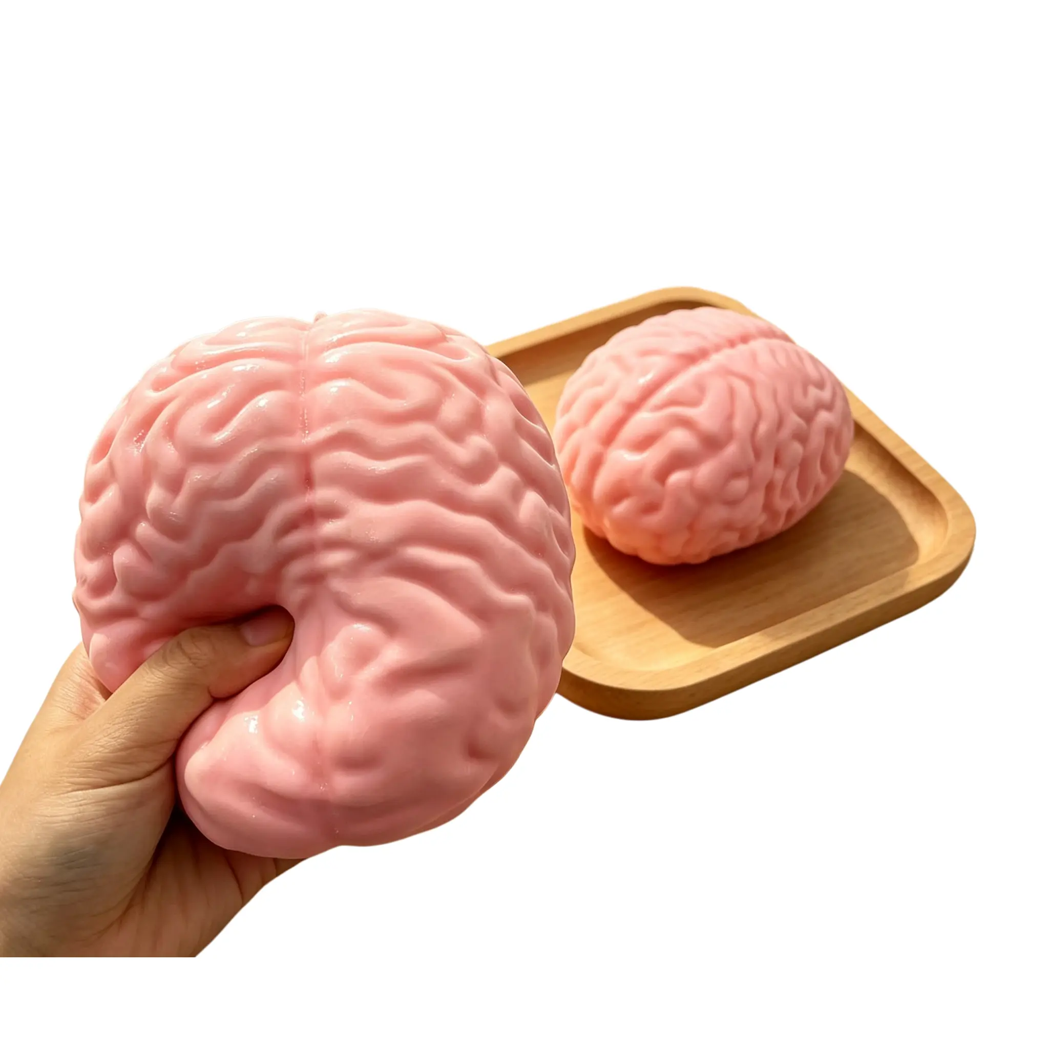 [Giant Brain] Jumbo Realistic Brain Squishy Fast Rebound Fidget Toy Stress Relief