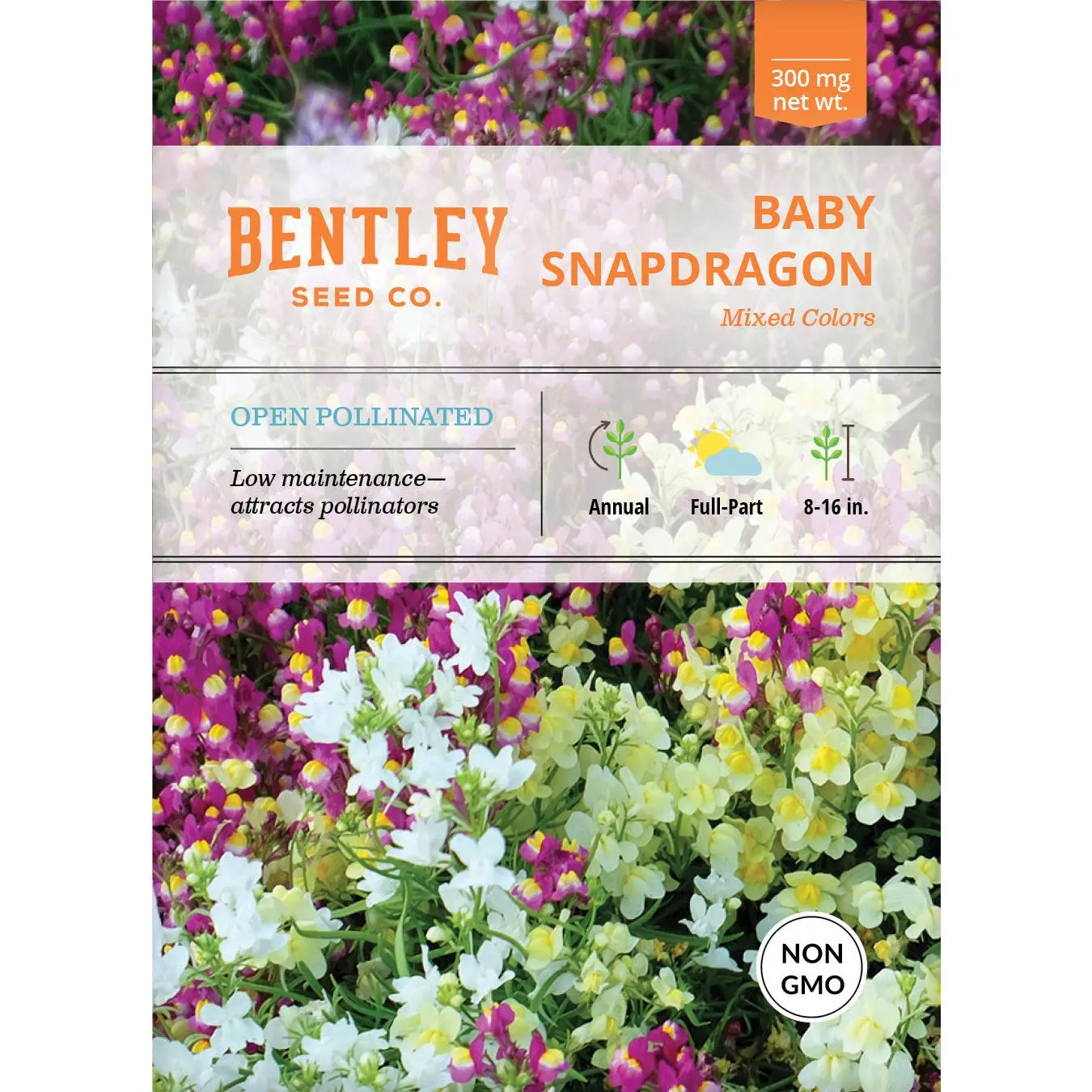 Baby Snapdragon Flower Seeds Packets - Low-Maintenance Annual Cycle Seeds for Garden Bed, Flower Garden, Bird-Attracting Pollinator Aid, Thrives in Partial Sun