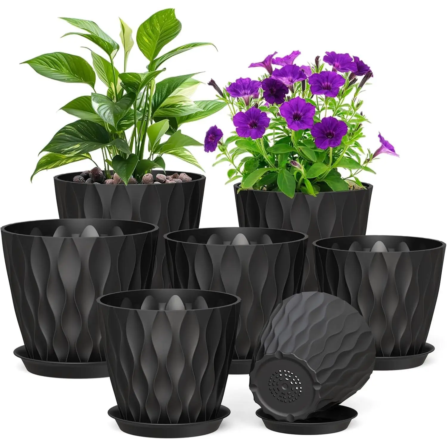 potted plant gifts A Happy Hello | Potted Plant Gift main image 0