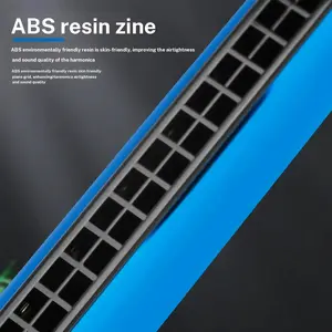 24-Hole C Key Harmonica, Professional Diatonic Accordion Reed, Durable Musical Instrument for Music Lovers & Beginners