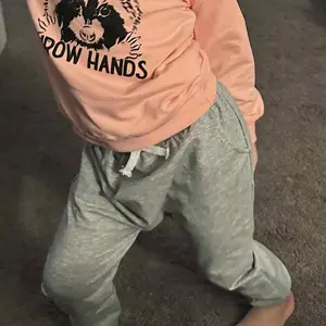 2 Pcs Set Toddler Baby Girls Boys Spring Summer Fall Outfits Raccoon Letter Print Crew Neck Long Sleeve Sweatshirt With Pants Or Short Sleeves With ShortsPrinted Animal Hoodie And Sweatshirt Set