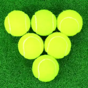 Tennis Balls, 6 Pack High Elasticity Practice Tennis Balls with Mesh Bag, Ideal for Beginner, Exercise Playing Balls for Pet