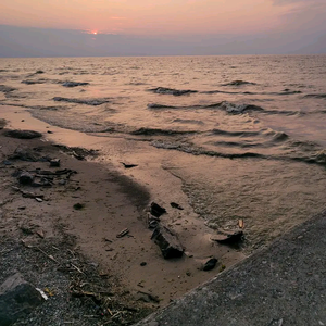 My Arbitrary Creations