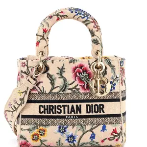 Pre-owned Dior Raffia Top Handle Bags Christian Lady D Lite Bag Embroidered Medium by Rebag