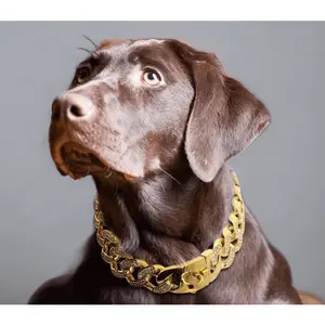 VALENCIA Rhinestone Collar Necklace (32mm)