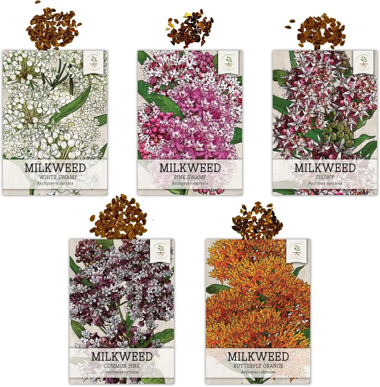 Milkweed Seed Collection