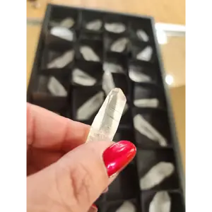 🌟✨ Brazilian AAA Grade Lemurian Seed Crystals – Ancient Wisdom & High-Vibrational Light! 🔮