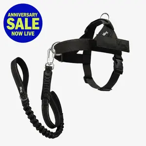 Dog Friendly Co. Harness + No-Pull D-ring + Bungee Leash