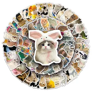 Random 5 Sticker - Funny Cat Meme Sticker Pack For Pets Lover. Vinyl Waterproof Stickers for Book Phone Laptop Water Bottle. Fun Craft Stickers for Scrapbooks, Planners, Gifts and Rewards. Cute Gifts for Girls Kids Teens Adults.