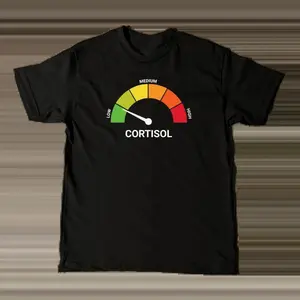 Aesthetic  Level T-Shirt |   Premium  Cotton Heavyweight Tee |   Funny Mental Health Awareness Graphic Apparel |   Stress Management Humor Top |   Soft Breathable Casual Daily Wear Classic Embroidered Streetwear Menswear